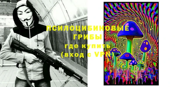 дмт Инта