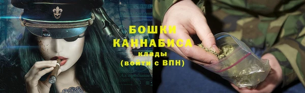 прущая мука Инсар