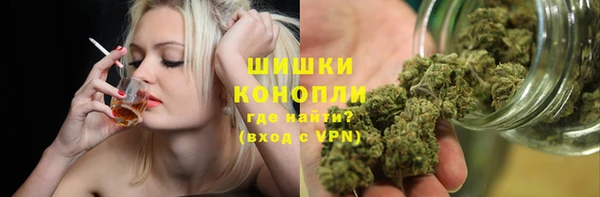прущая мука Инсар