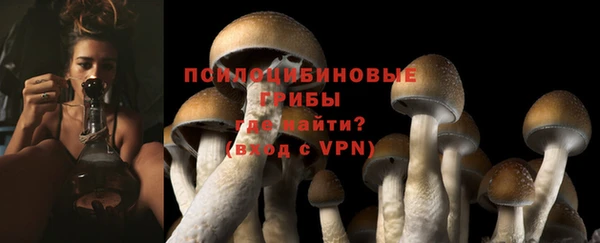 PSILOCYBIN Иннополис