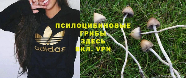 PSILOCYBIN Иннополис