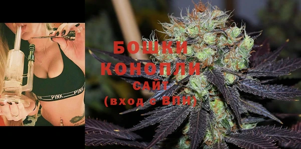 PSILOCYBIN Иннополис