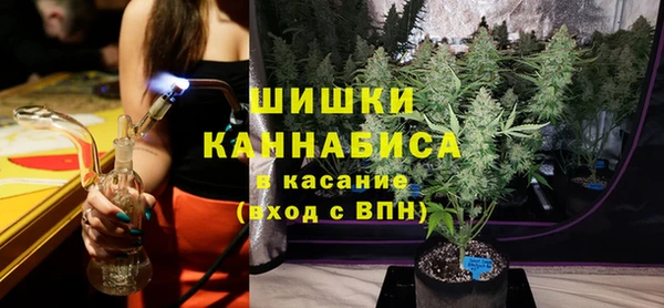 PSILOCYBIN Иннополис