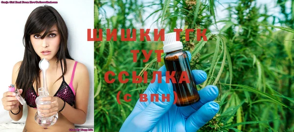 PSILOCYBIN Иннополис