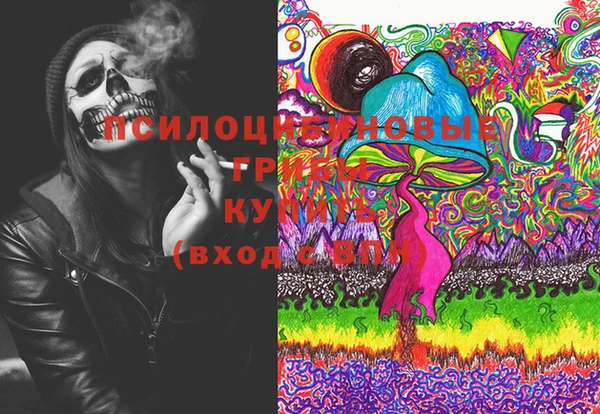 PSILOCYBIN Иннополис