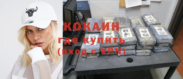 дмт Инта