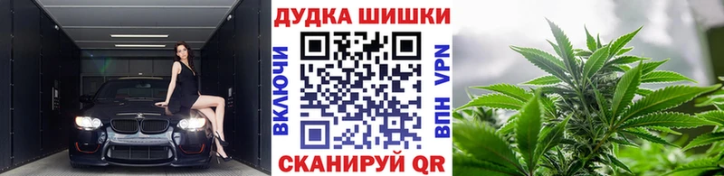 Шишки марихуана OG Kush  Купить закладки  Нижние Серги 